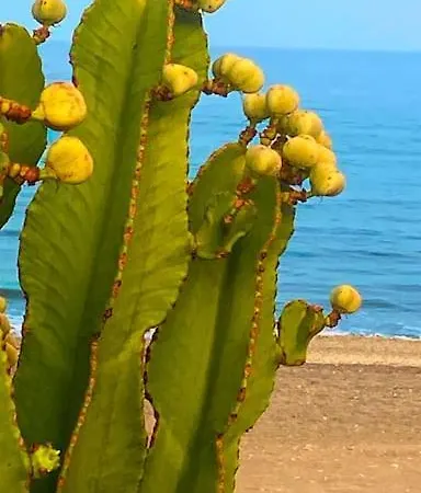 Apartment Sea View Penthouse Mojacar